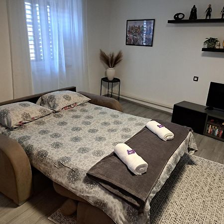 Apartman Darija Pazin Eksteriør billede