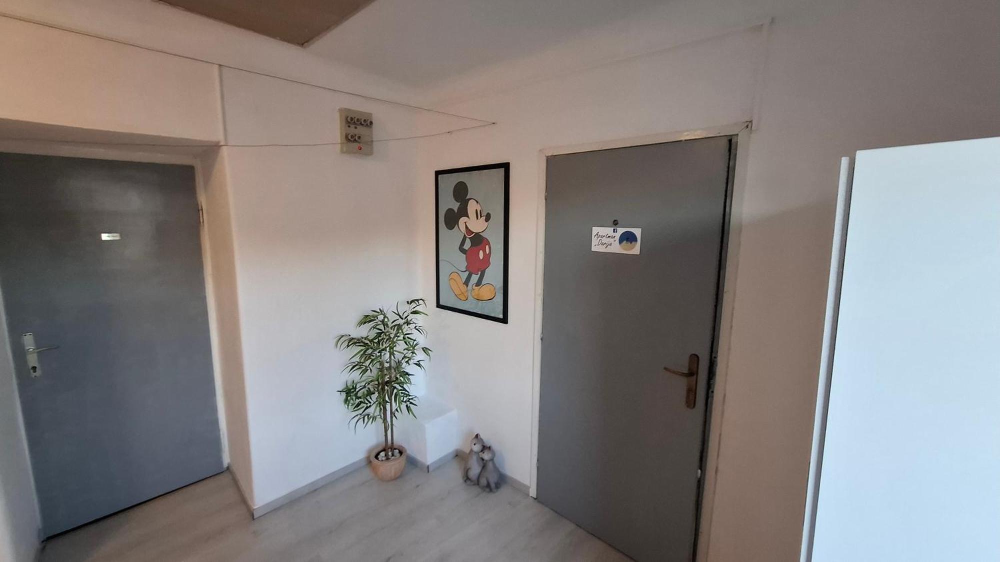 Apartman Darija Pazin Eksteriør billede