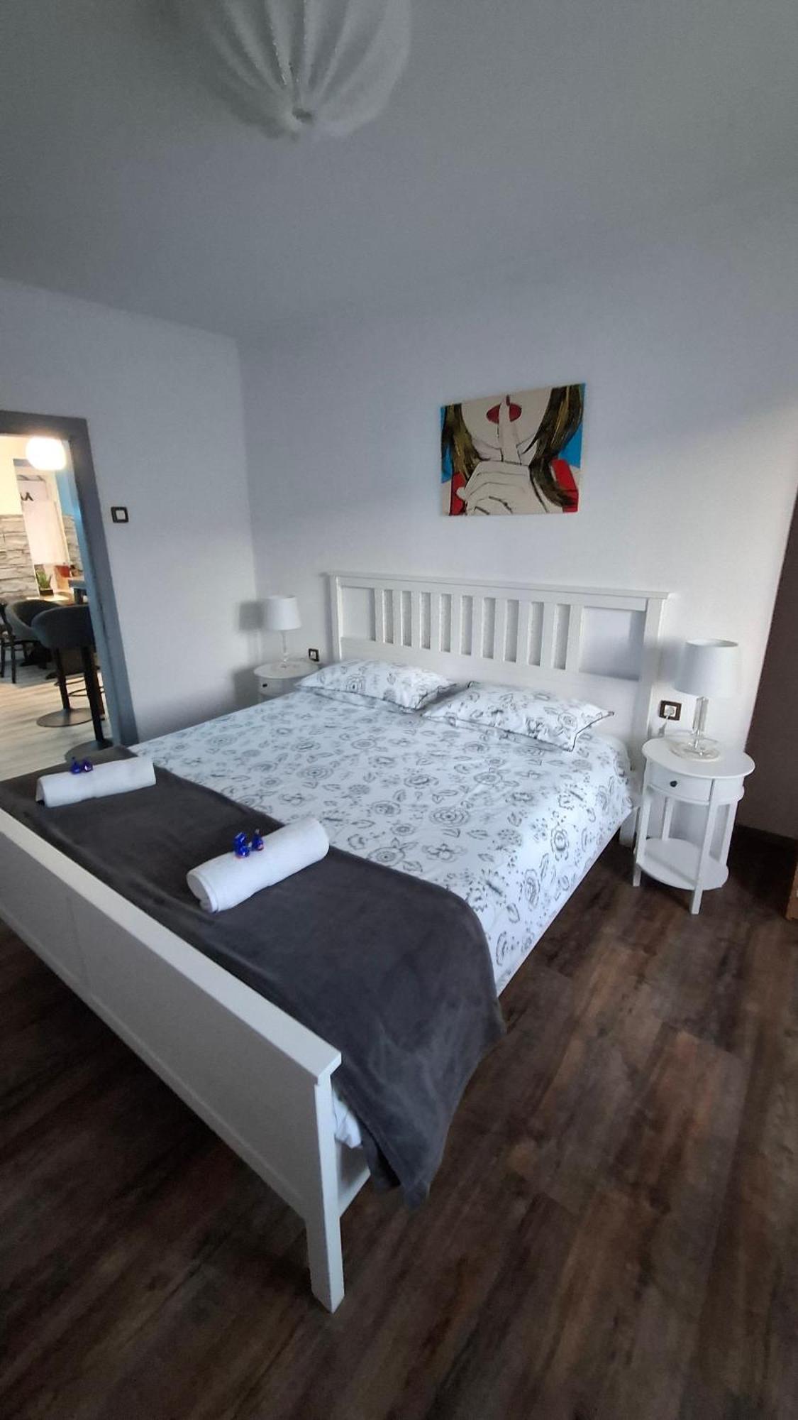 Apartman Darija Pazin Eksteriør billede